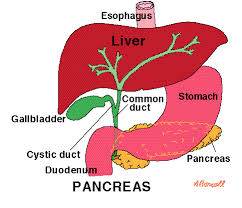 treating pancreatitis