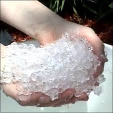 absorb water
