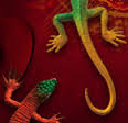 plastic lizard