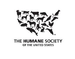 human society