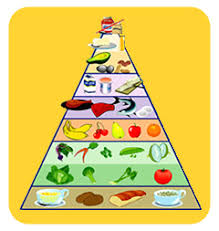 la piramide alimentaria