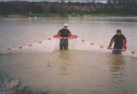 seine netting