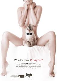 Cat Welfare Society (CWS)