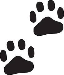 paw prints stencil