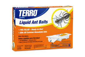 ant bait traps