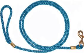 nylon leash