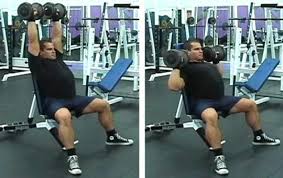 dumbbell press