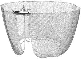 seine netting