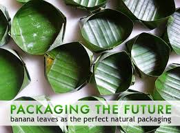 banana leaf paper