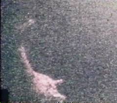 the lochness monster