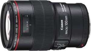 canon ef 100 2.8 macro