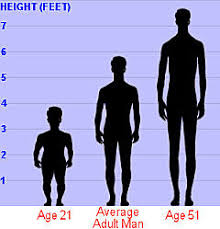 height chart