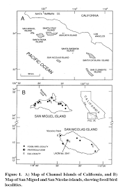 california economy before arnold schwarzenegger