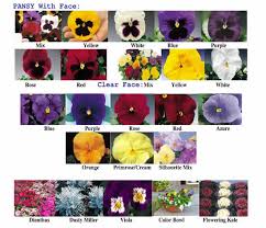 flower guide