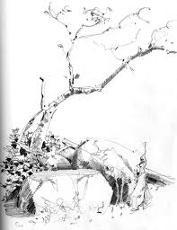 nature drawing