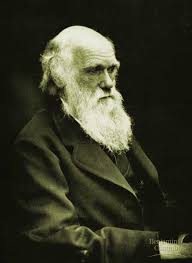 darwin Darwin non aveva ragione. Lo dicono anche gli atei.