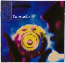 capercaillie secret people
