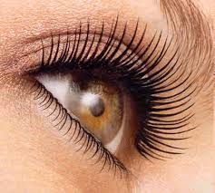 eyelash and eyebrow tint