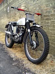 tiger cub triumph