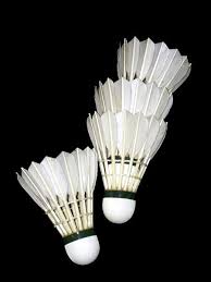badminton ball