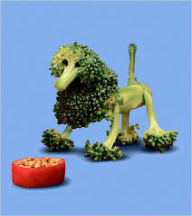 animals start with c