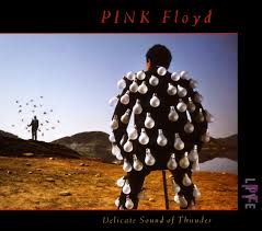 Pink Floyd - Delicate Sound Of Thunder