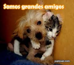amigos para siempre