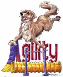 Résultat d'Agility