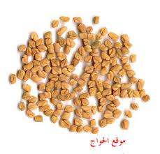 ... لصحتك شاهد هذا الموضوع فوائد بعض الطعام ...  Fenugreek