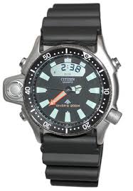 citizen promaster