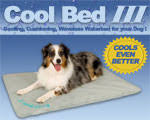 cool dog mat