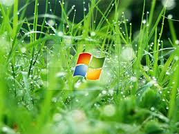 vista обои