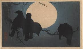 crows pictures
