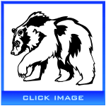 bear decal