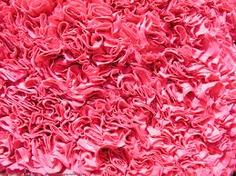 fabric photo