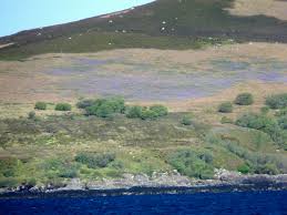 gruinard island