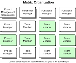 functional organization