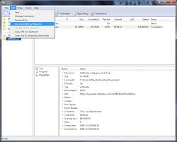 Orbit Downloader 1 4 6