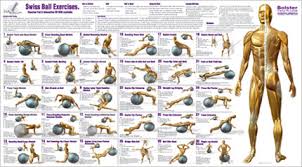 pilates ball exercise