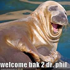 dr phil funny