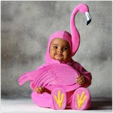 baby flamingo costume