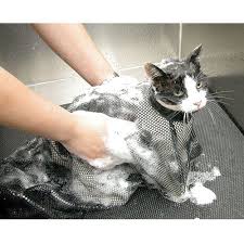 cat grooming bag