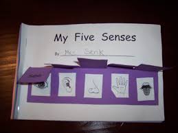 my five senses book