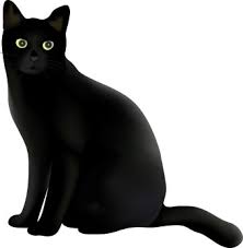 black cat clip art