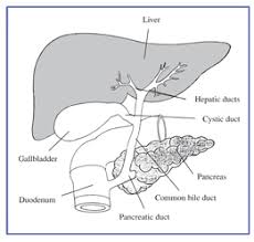 treating pancreatitis
