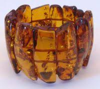 amber with insect