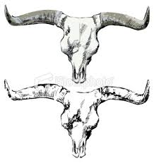 bull skull clip art