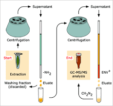 sample preparation