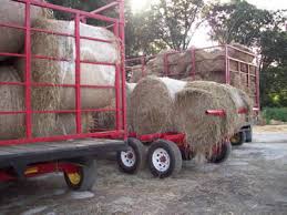 farm hay