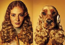 do you look like your dog